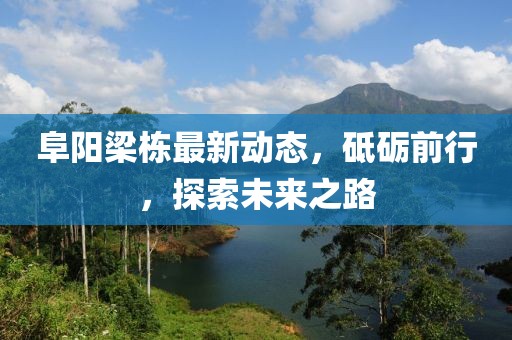 阜陽梁棟最新動態(tài)，砥礪前行，探索未來之路