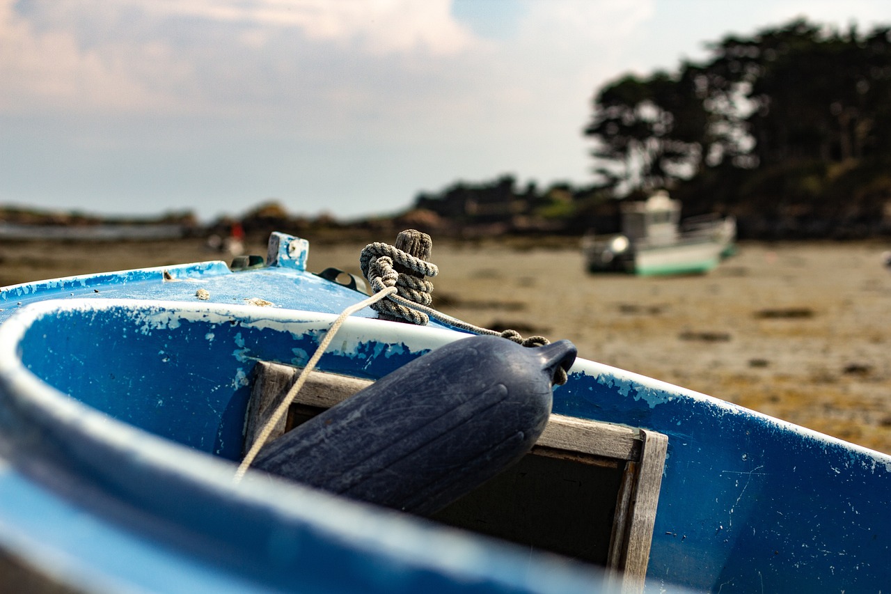 寶應(yīng)最新疫情動態(tài)，全面防控，守護(hù)家園安寧