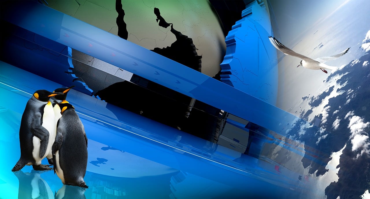 最新動(dòng)漫精選，熱血與奇幻的世界探索