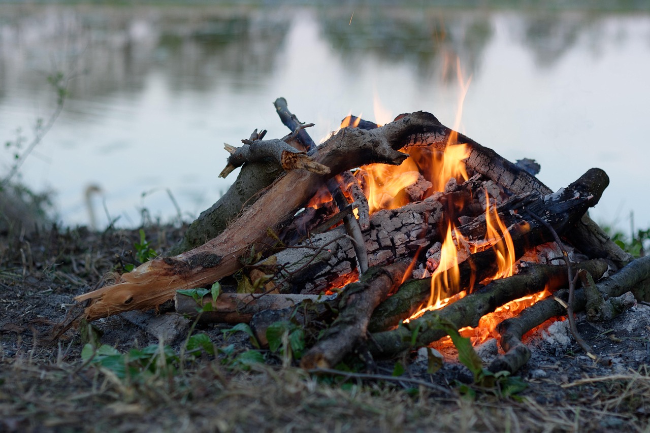 最新熱門游戲大盤點