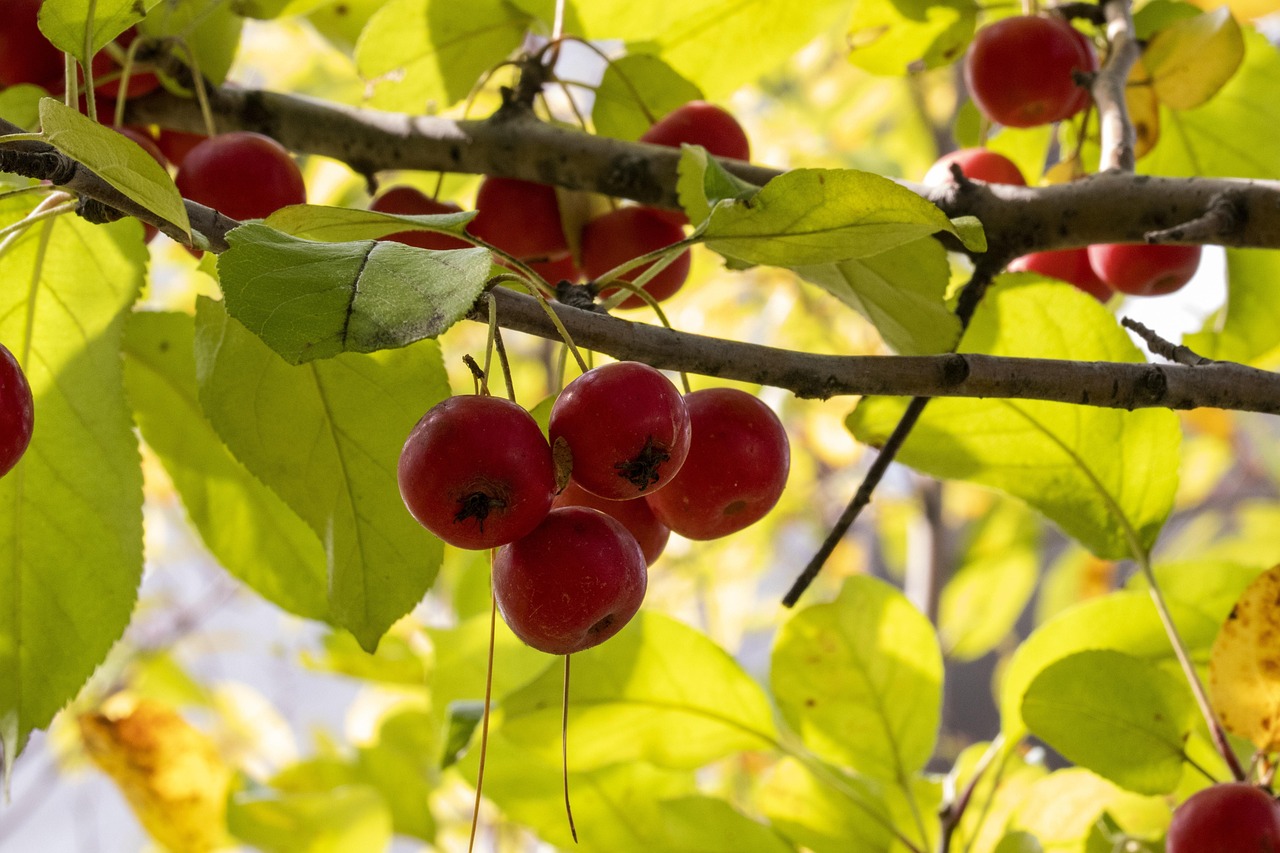 同德化工股票最新動態(tài)及分析摘要
