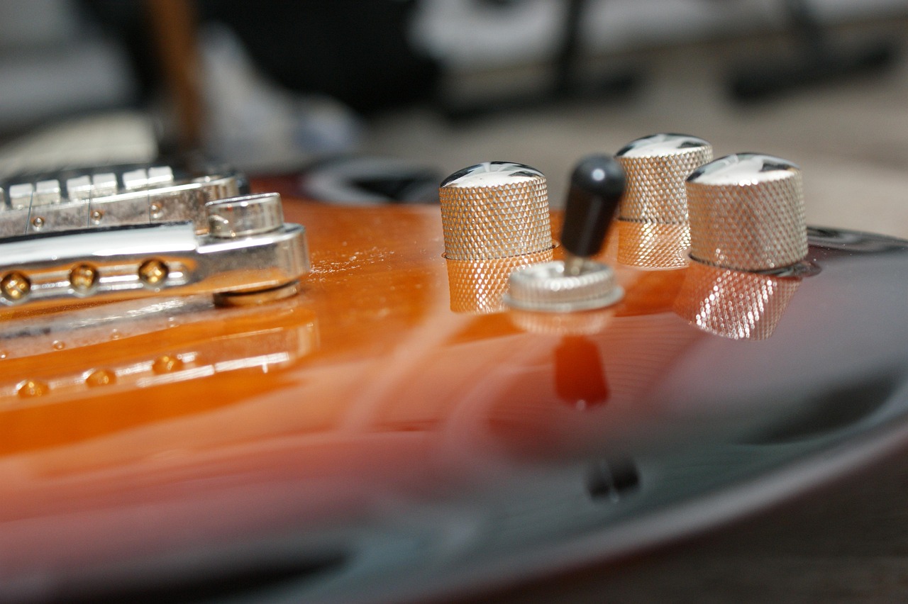 最新貝殼甲研究與應用進展