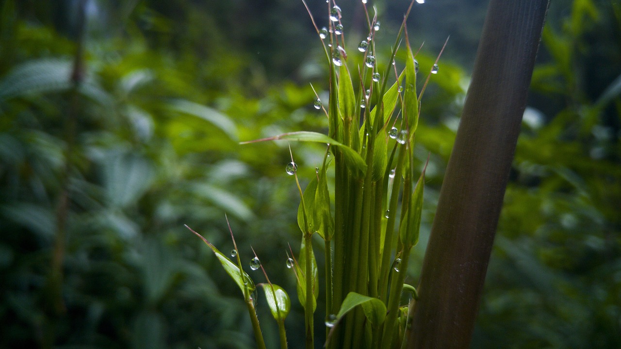 最新疫情跨省動態(tài)及全國疫情防控形勢分析報告