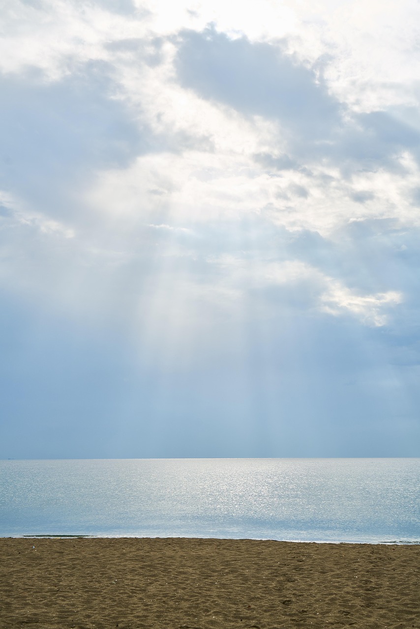 張杰2017最新動態(tài)，音樂之旅開啟全新篇章