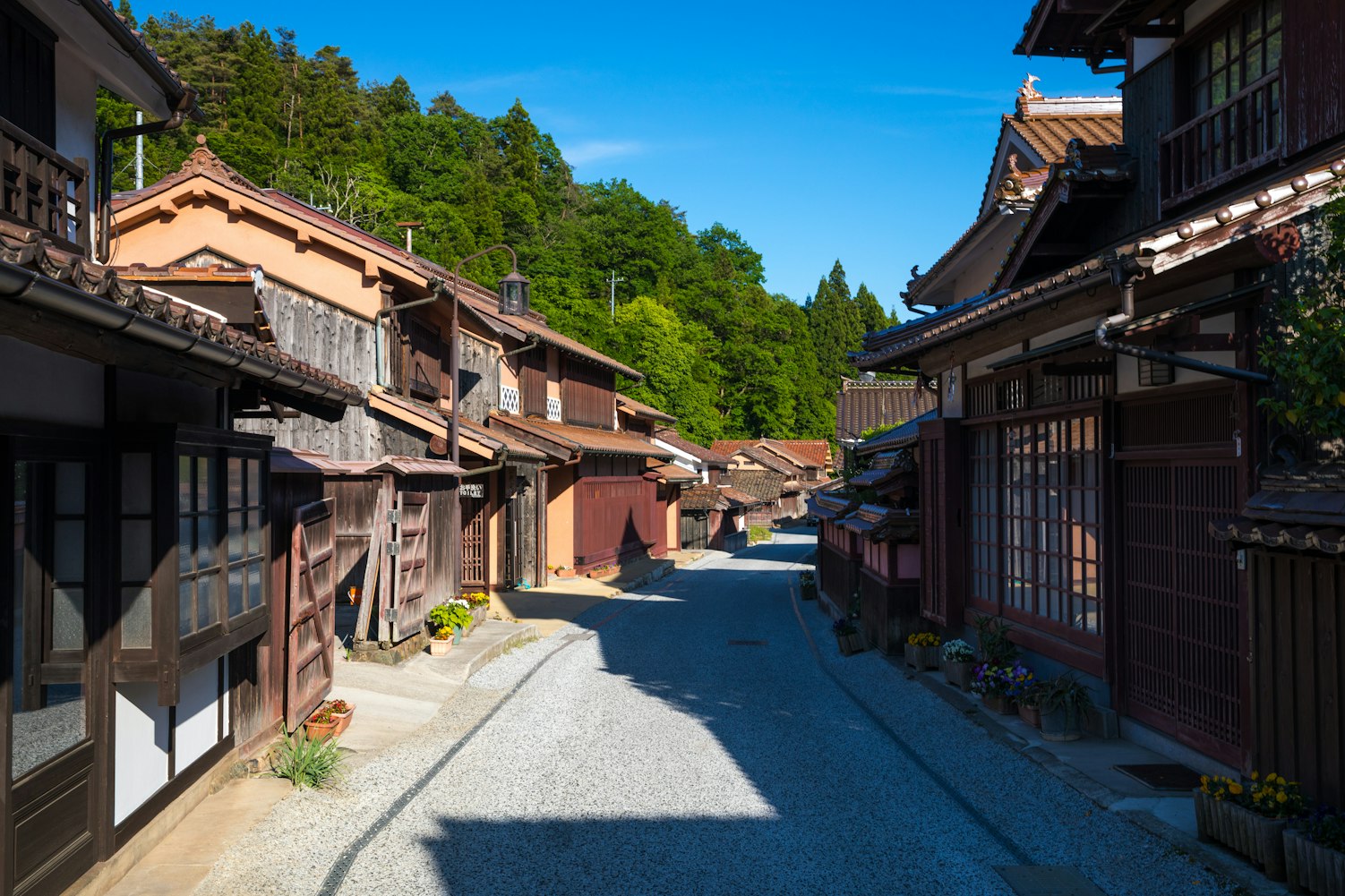 甘肅武威農(nóng)村最新影像揭示鄉(xiāng)村變遷與活力風(fēng)采