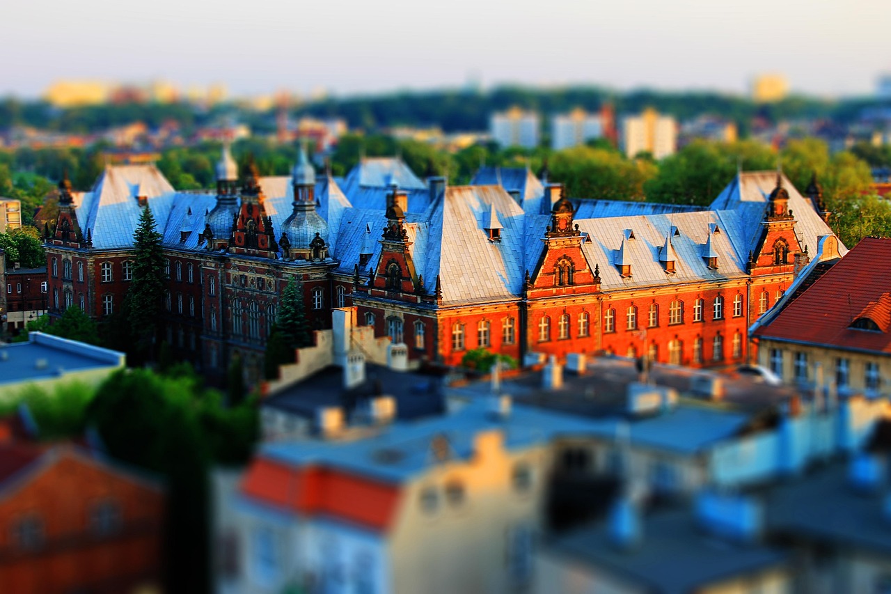 花旗參價(jià)格概覽及市場(chǎng)趨勢(shì)分析，價(jià)格表與市場(chǎng)動(dòng)態(tài)解析