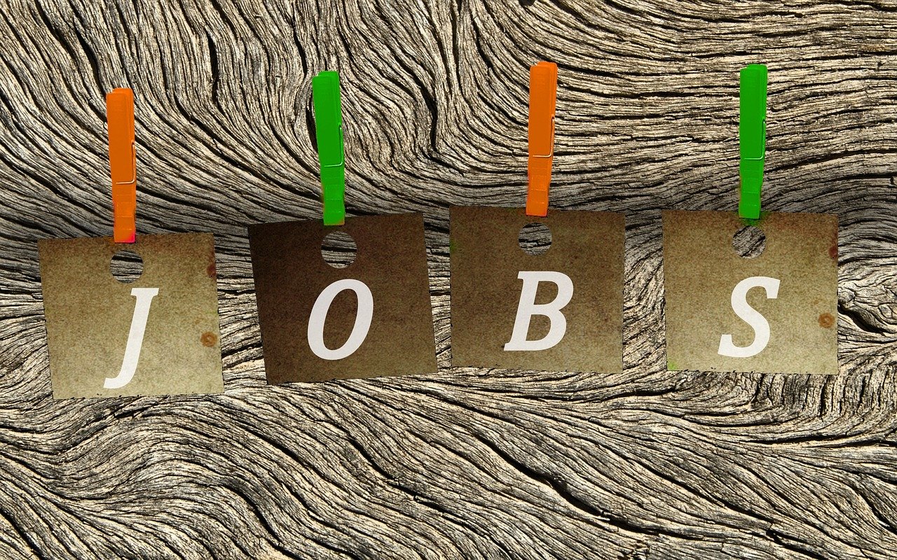 濰坊濱海最新職位招聘動態(tài)與機會深度探討