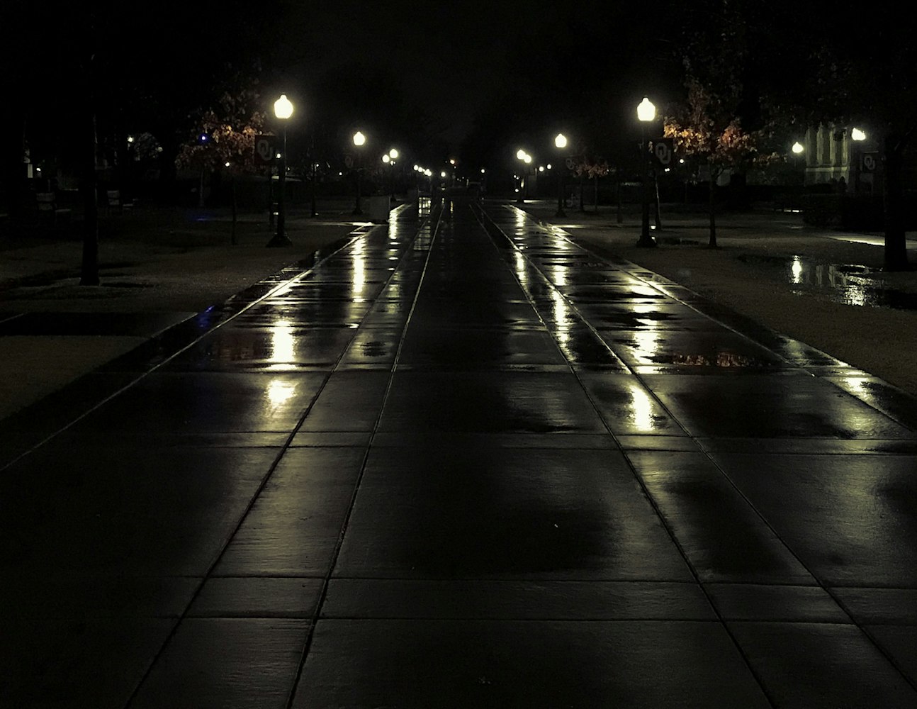 星空動(dòng)漫壁紙，夢(mèng)幻虛擬世界的視覺(jué)盛宴探索